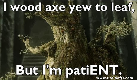 I wood axe yew to leaf but I'm patiENT